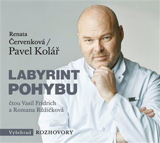 Kniha Labyrint pohybu od Pavel Kolář