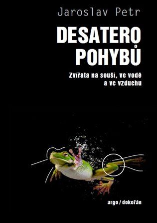 Kniha Desatero pohybů od Jaroslav Petr