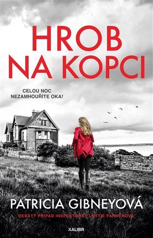 Kniha Hrob na kopci od Patricia Gibneyová