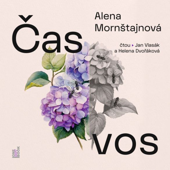 Kniha Čas vos od Alena Mornštajnová
