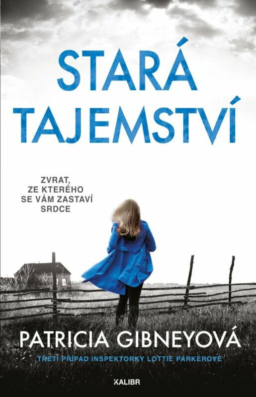 Kniha Stará tajemství od Patricia Gibney