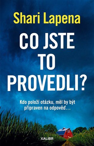 Kniha Co jste to provedli? od Shari Lapena