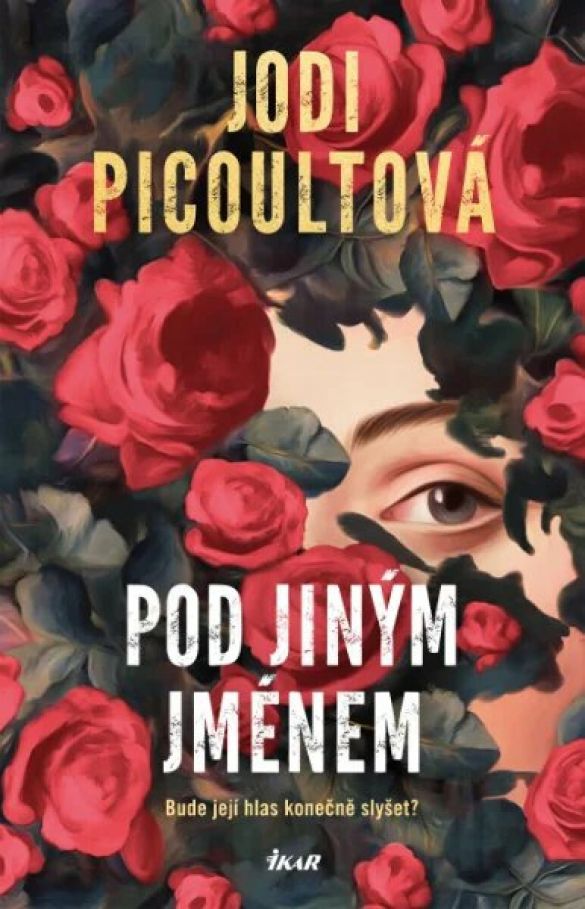 Kniha Pod jiným jménem od Jodi Picoult