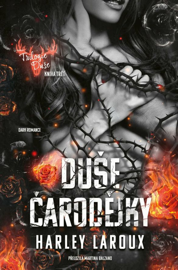 Kniha Duše čarodějky od Harley Laroux