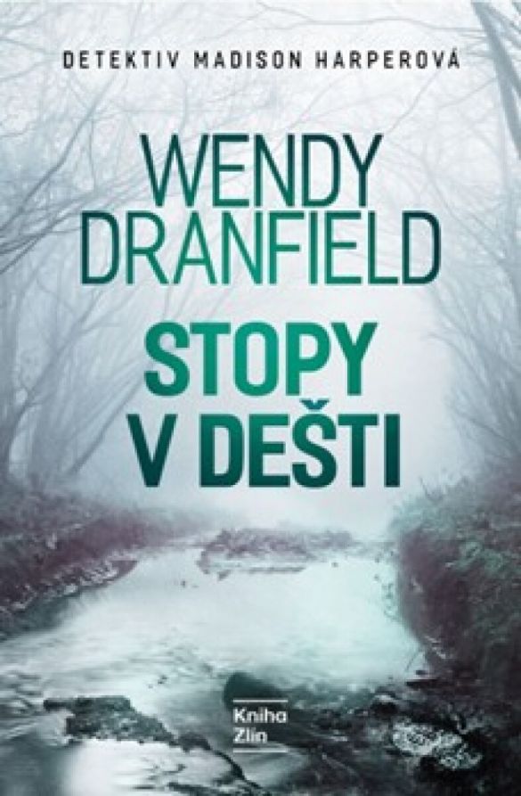 Kniha Stopy v dešti od Wendy Dranfield