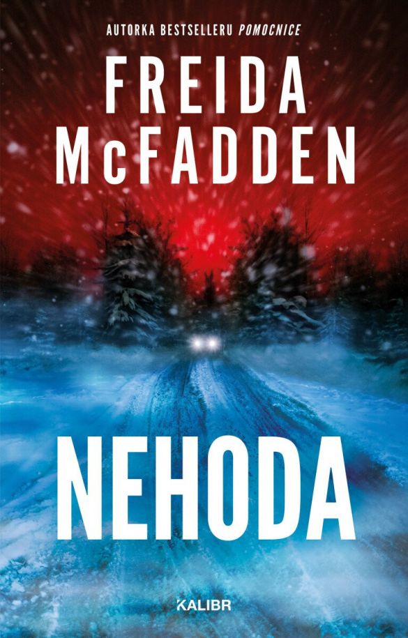 Kniha Nehoda od Freida McFadden